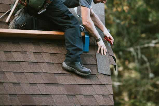 Best Shingle Roofing Installation  in Agua Dulce, TX